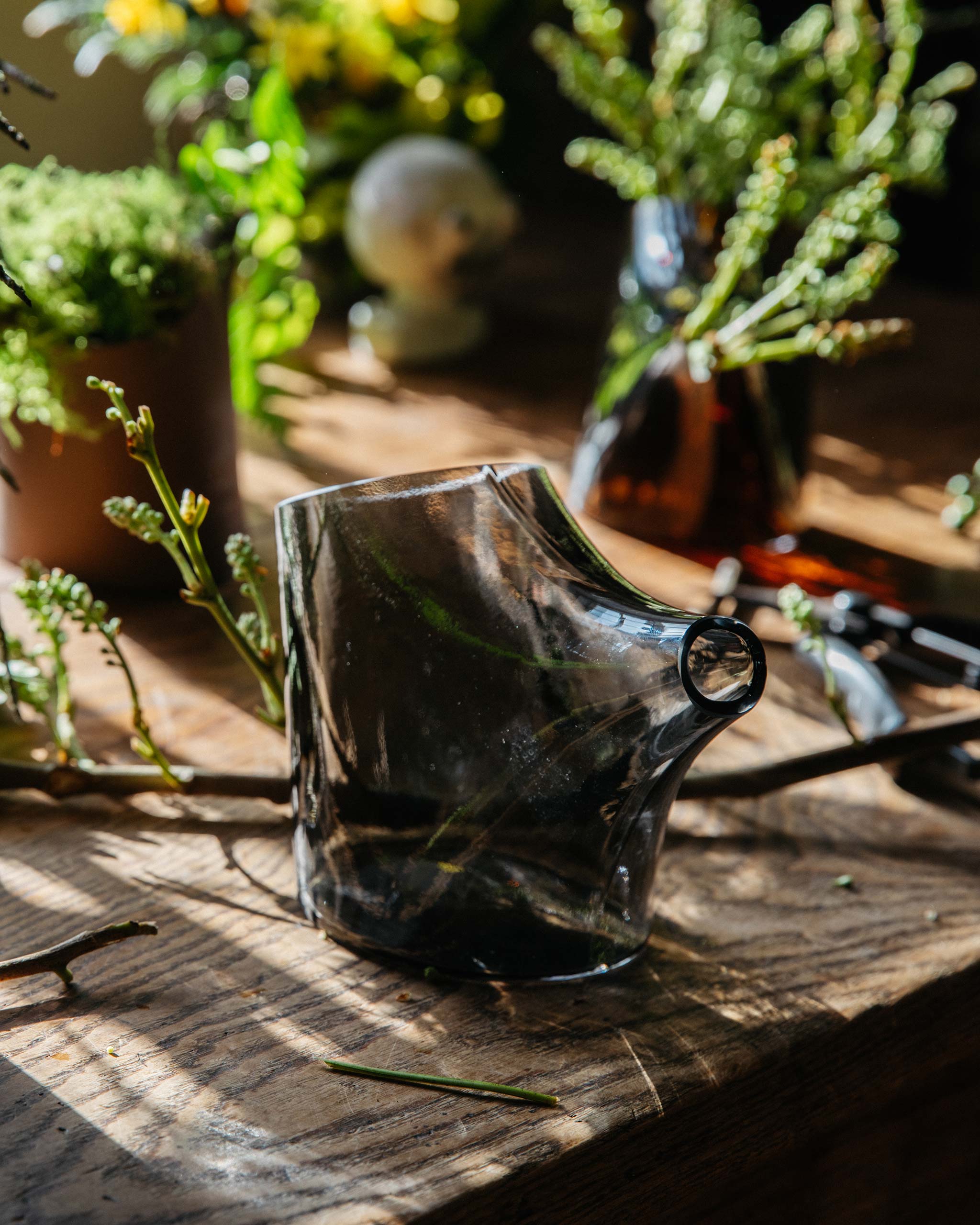 Kiln-cast HopStep glass pot on a warmly lit table, with light filtering through the translucent form and foliage inside, showcasing craftsmanship and material depth.