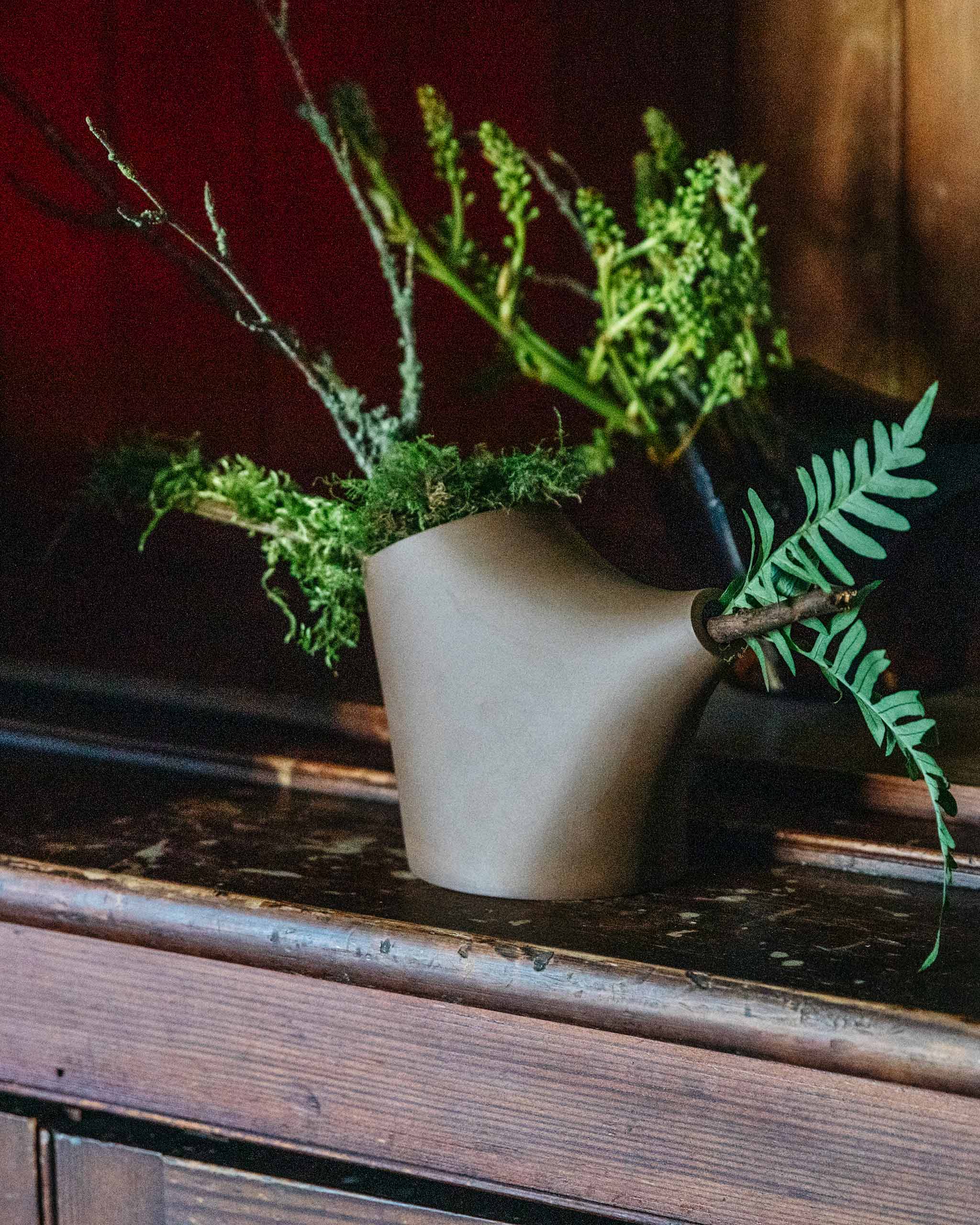 HopStep porcelain pot displayed on a wooden shelf, holding natural foliage, warmly lit.