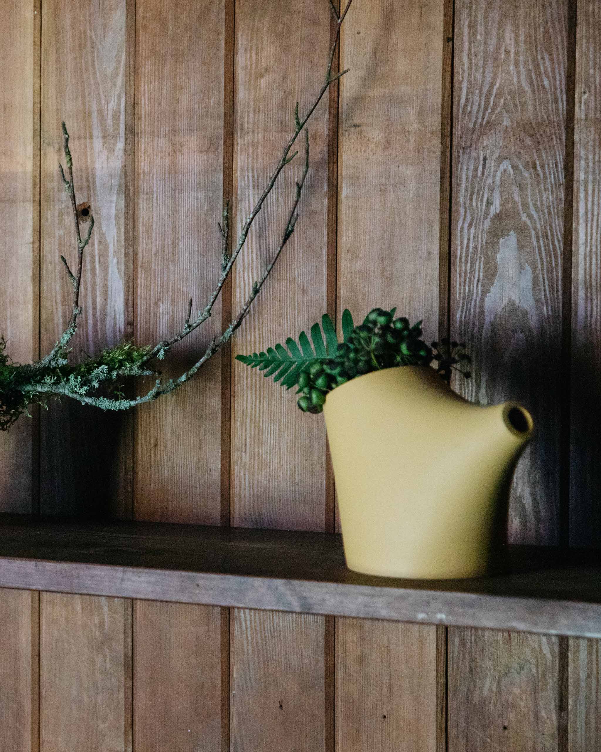 HopStep porcelain pot displayed on a wooden shelf, holding natural foliage, highlighting variations in form, tone, and craftsmanship.