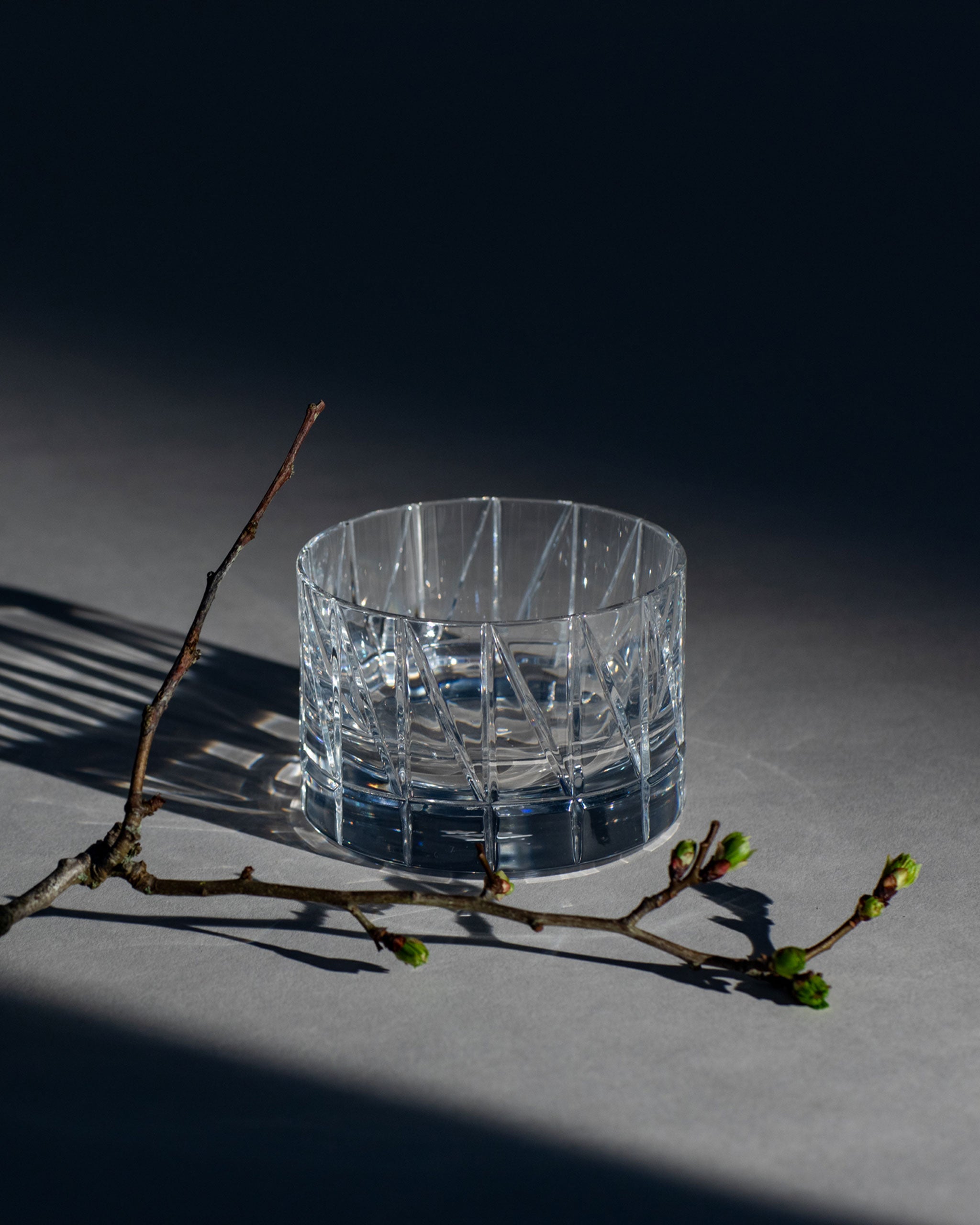Handcrafted crystal low whiskey glass with sharp linear cuts and sculptural design alongside a birch branch
