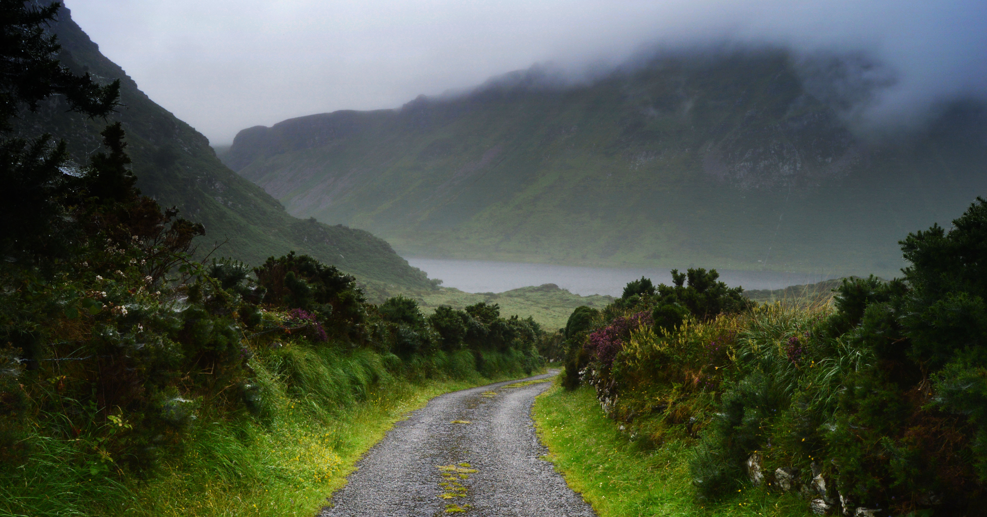 Winding road through a lush green valley with mountains in the background