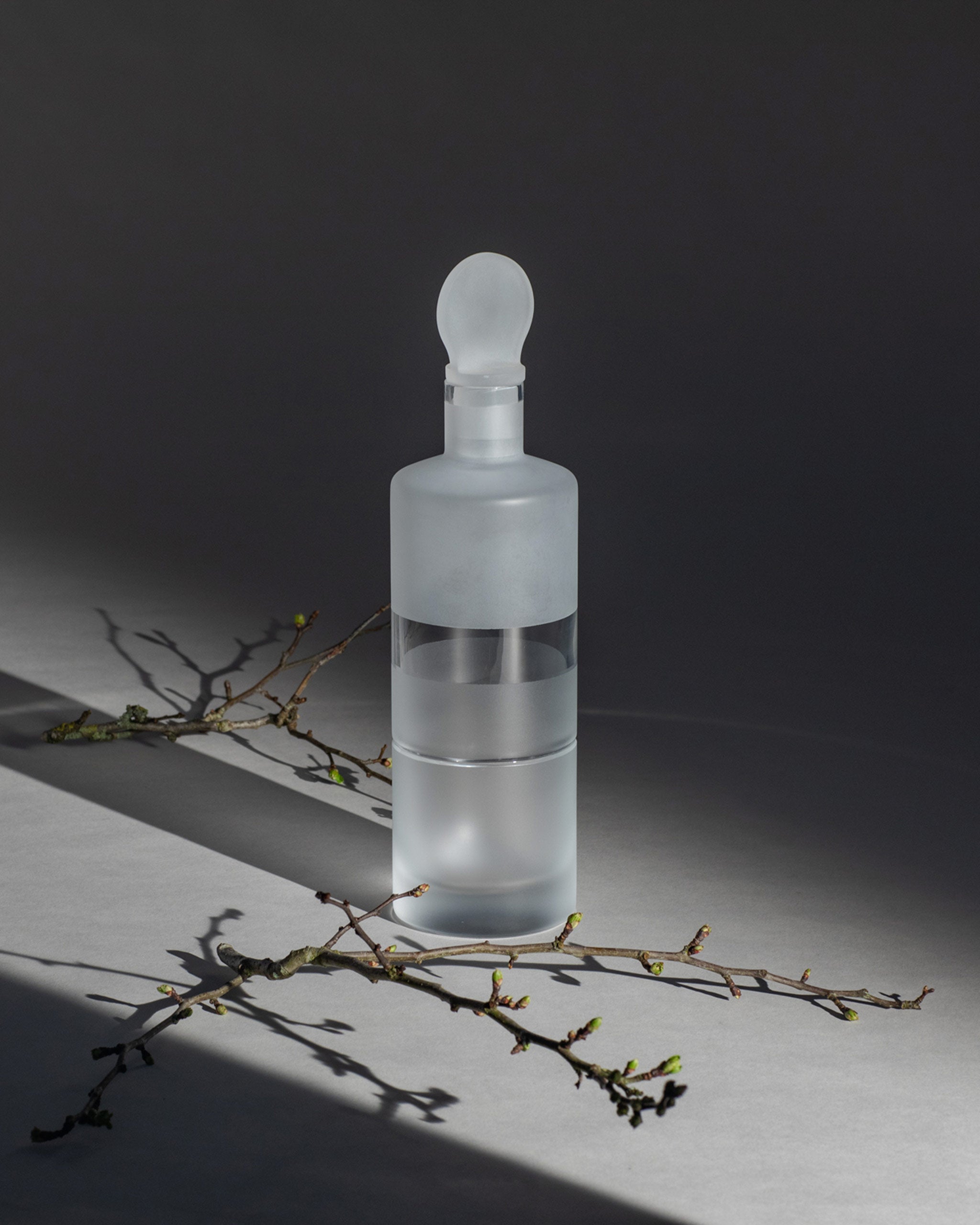 Hand-blown crystal whiskey decanter with frosted band beside birch tree branch, natural light and refined texture.